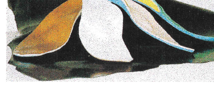 12_p2_ortheses_plantaires_classiques